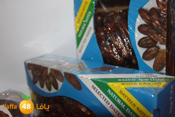 zhra2 tamer 705 (12).JPG